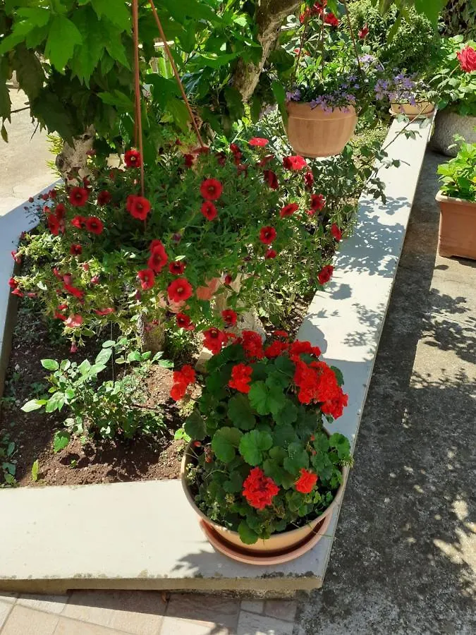 Apartman Danijela Zagorje